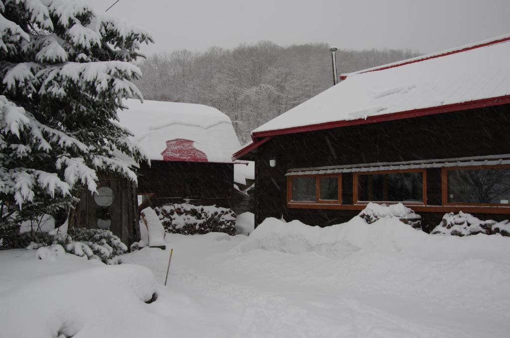 Goryo Guesthouse NakaNakafurano Eksteriør billede